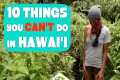 What it’s REALLY like living in Puna