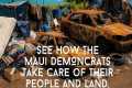 This Is How Maui Takes Care of their