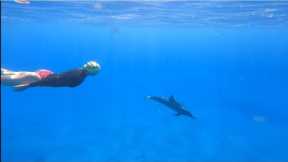 Swimming in Hawaii ~ Best Places to Swim on the Big Island