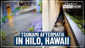 Cleanup underway after tsunami floods seaside Hilo hotel