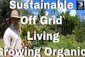Sustainable off grid living in Hawaii 