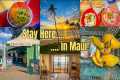 Why Kihei Is the BEST Place to Stay