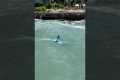 Learn to surf at the beautiful Turtle 