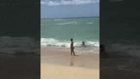 #hawaii #oahuhawaii #hawaiilife Testing out the new beach before #surfing lessons tomorrow. #waves