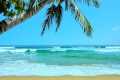 Tropical Beach Ambience | White Noise 