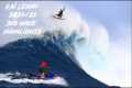 Big Wave Surfer of the Year Nominee - 