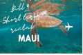 Update to BIll 9 - Maui