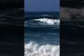 Waimea Bay Surfing | 1.12.2023