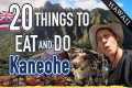 Top 20 Things to Eat and Do in