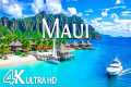 Maui, Hawaii 4K UHD – Golden Beaches, 