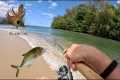 Papio Whipping on Kauai | Bubble and