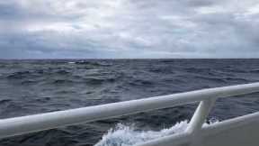 ~7 foot swells, somewhere in the North Atlantic…