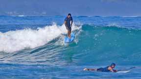 Pua'ena Point ~ Mellow Relaxing Longboard Surfing North Shore O'ahu Hawaii