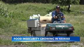 Hawaii families struggle as agriculture cuts raise food costs