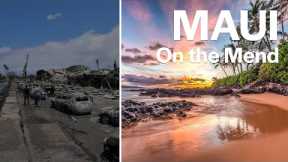 Hawaii Tourist Warning - Must Watch Before Visiting in 2025