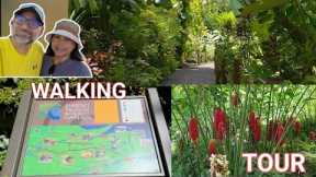 Hidden Gem in Hilo: Hawai'i Tropical Botanical Garden Walk