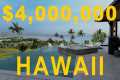 Hawaii Real Estate - A Rendering of