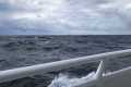 ~7 foot swells, somewhere in the