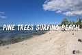 Pine Trees Surfing Beach on the Big