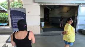 Arizona Memorial at Pearl Harbor is finally Opened! 10/6/2025