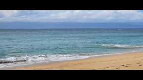Huge surf in North Kaanapali Beach Maui - Live Cam