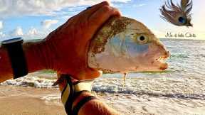 Fishing Kauai With Bubble and Fly | Fishing Hawaii | Shore Fishing Kauai