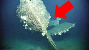 The Most Mysterious Thing Found After Pearl Harbor