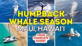 Maui Hawaii Whale Watching Guide: Everything You Need to Know! Kaanapali, Kihei, Wailea & Makena