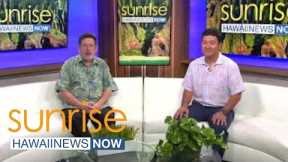 Real estate expert gives insight on how Hawaii's housing market is changing in the new year