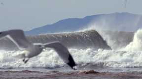 Dane Reynolds surfing a SECRET SPOT