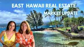 East Hawaiʻi Real Estate Update- November 2025 - How's the Market?