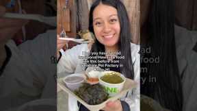 MOST AUTHENTIC HAWAIIAN FOOD Local spot in Oahu, Hawaii with Waiahole Poi Factory