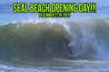 OPENING DAY AT SEAL BEACH!!!