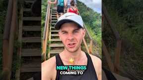 The Only Hawaii Food Guide You Need