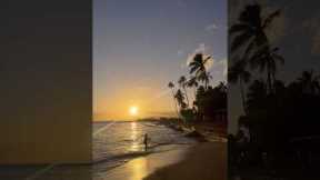 Hawaiian Food 🍴🌺🏝️✨ #hawaii #trip #vlog #japan #travel #vacation #sunset