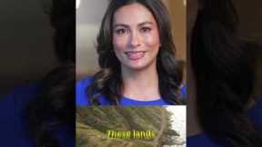 History of Hawaii Real Estate pt. 1 #hawaii #hawaiirealestate #realestateagents #investing