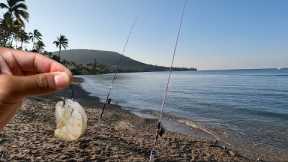 Cutbait Shrimp Fishing! | Hawaii Fishing Adventures!