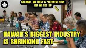 The TRUTH About Hawaii’s Tourism Decline That U S  Officials Won’t Say Out Loud