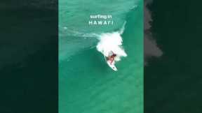 Sunny sand bar days 🏄🏼‍♀️: 🚁: #surf #surfing #surfers #hawaii #paradise #northshore #oahu