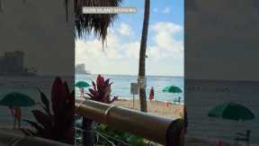 Hawaii Day 4  Beachfront Dining, Bar Hopping & a Hidden Christmas Bar