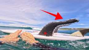 Trying Weird Fins in Indonesia