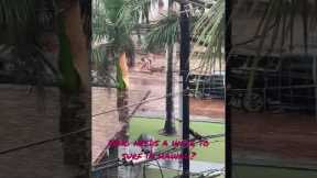 Surfing the streets of Kihei Hawaii #surfing #hawaii