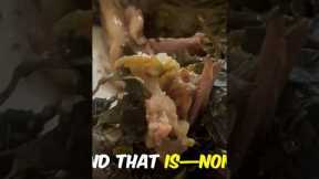 Trying REAL Hawaiian Food Lau Lau! Skip the Burgers and Donuts Get The Real Deal 🤙