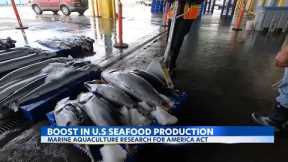 New bill could boost Hawaii’s sustainable seafood production