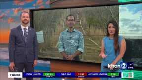 Popular Hawaii hike to close for safety