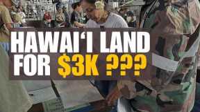 We Spent the Day Bidding on $3,000 Land in Hawai‘i (Tax Auction Vlog)