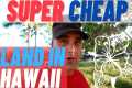 Super Cheap Land in Hawaii - 1 Acre