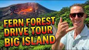 Fern Forest Drive Tour 🌿 Big Island Hawaii Rainforest Living (Puna Real Estate)