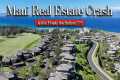 Maui Condo Market Crashed 34% — Is