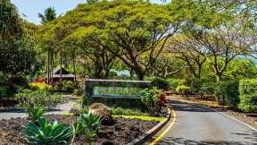 Hawaii Real Estate - Exclusive Ocean View Homesite at Hokuli‘a